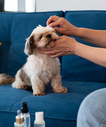 Skin Care Treatment