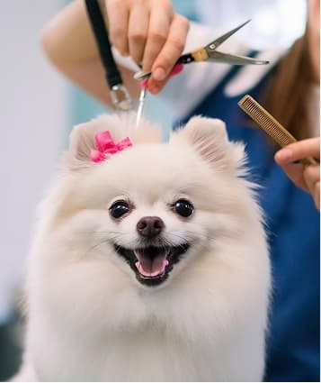Hair Trimming